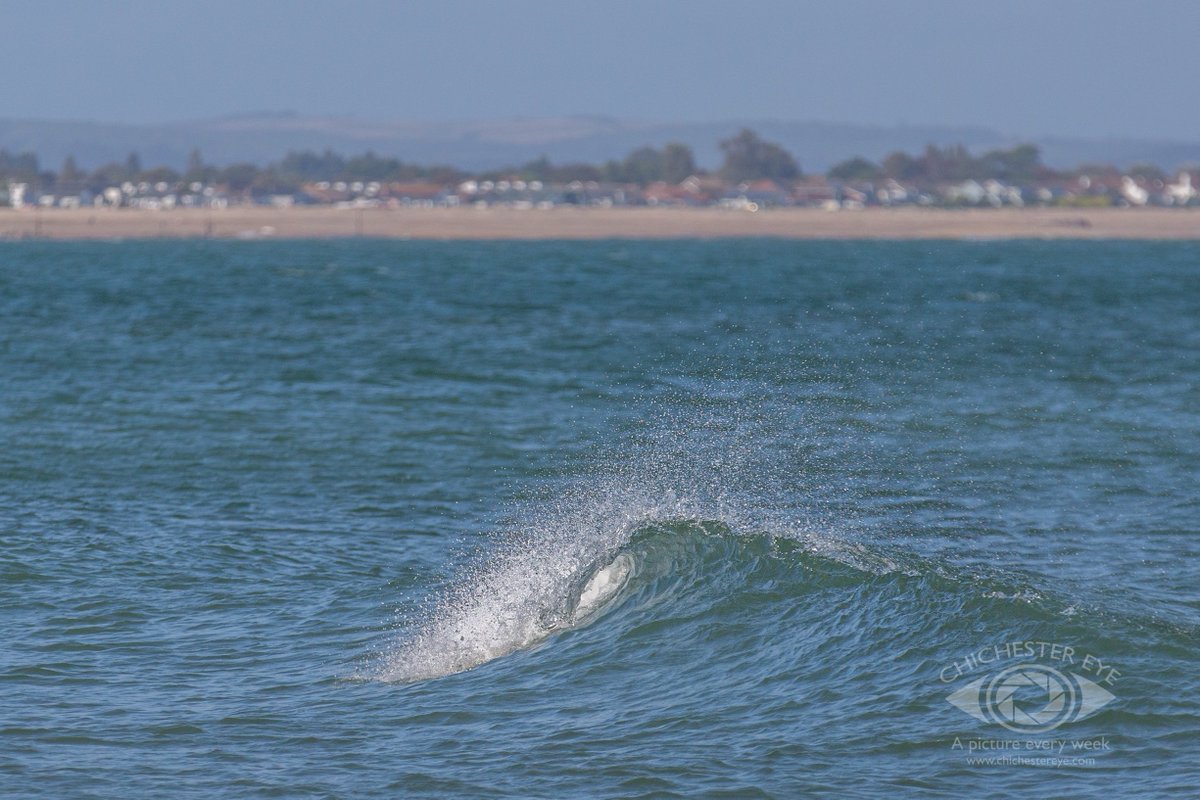 chichestereye's tweet photo. Beautiful seas off #pagham beach. 

@VSussex #sussex @SussexLifeMag @BBCSussex @itvweather @coastmag 

@chichestereye, bringing you a photo of #chichester and the surrounding area, every week. https://t.co/xYoj4mSqSC