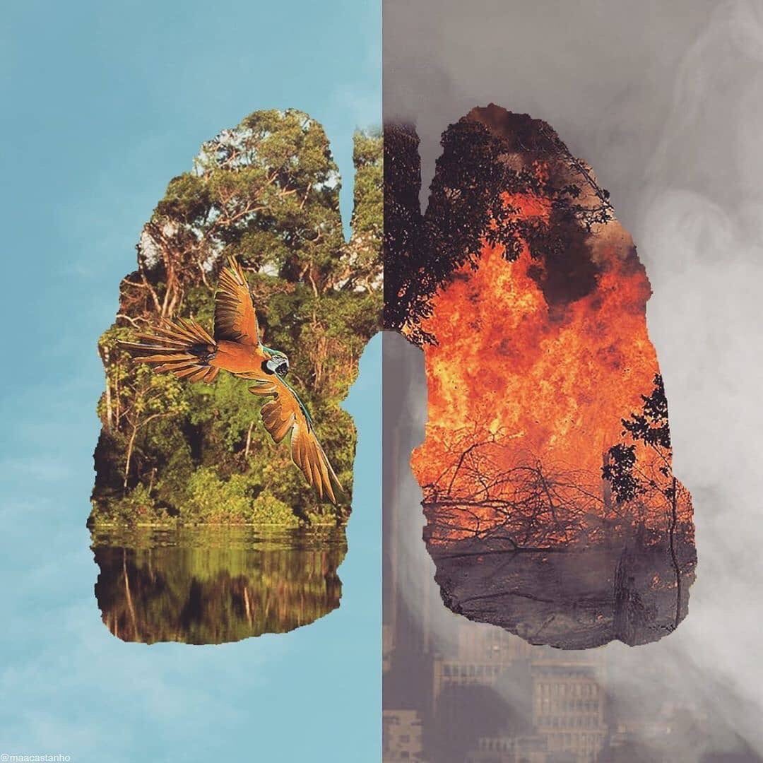 DangTuHuyen1's tweet photo. Save the green lung in the world❗❗❗
#PrayforAmazonia https://t.co/XmrZqVyrgR