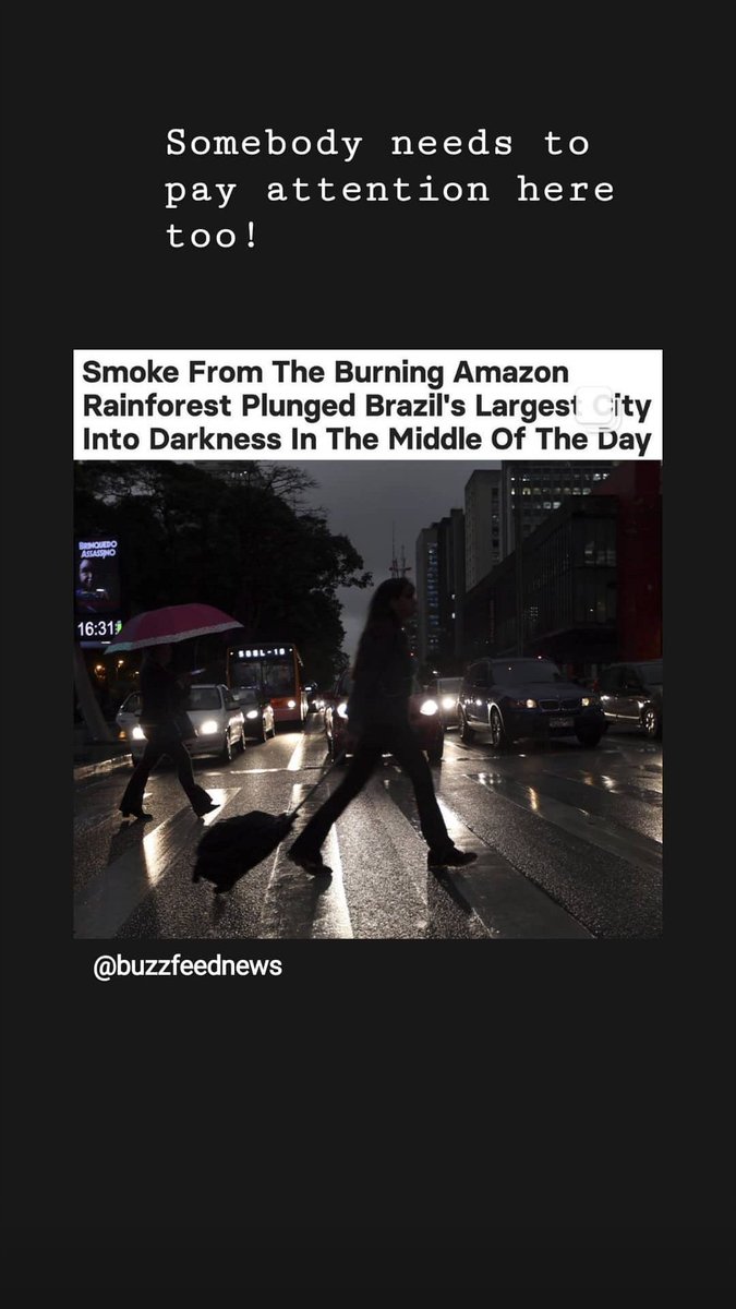 uniqueayuc's tweet photo. AMAZON RAINFOREST provides about 20% of the world s oxygen is burning from about last 3 weeks which is also a home for many species residing there ..
Plz pay ur attention here also...
#AmazonFire
#amazoninflames https://t.co/Y8WvJYscTH