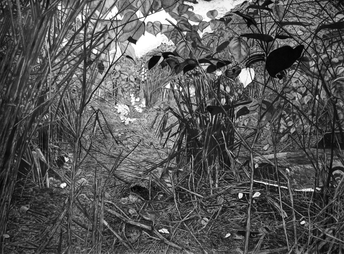 magharg67's tweet photo. Thrilled to be selected for the westmorland landscape prize exhibition @RhegedCentre #Penrith #Cumbria. Open September 13th to November 10th #landscape @parkerharris https://t.co/AQIXK2r31N