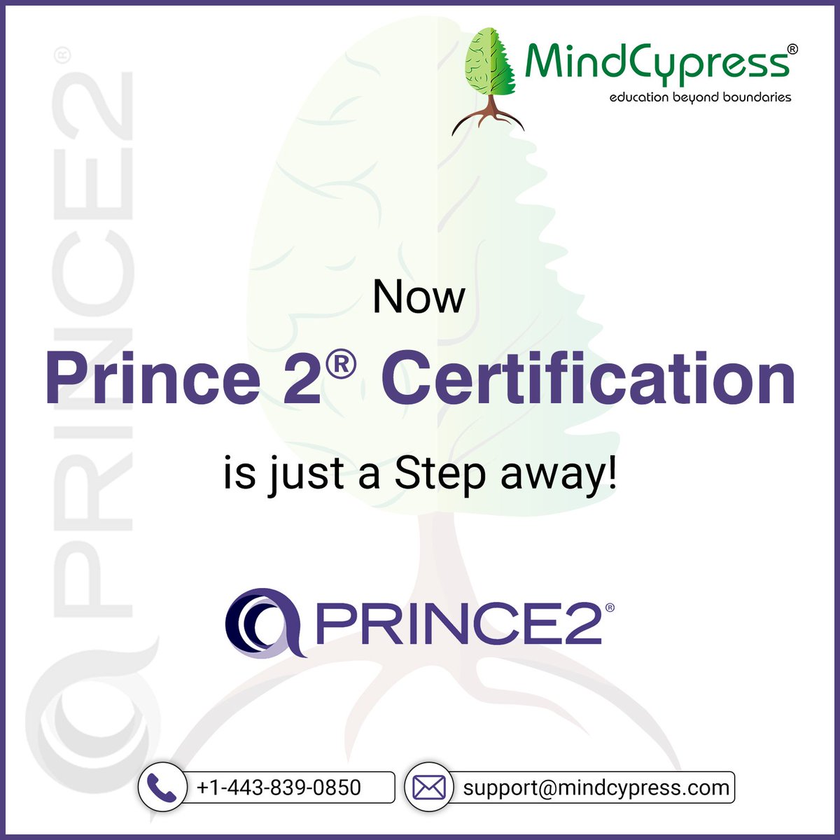mindcypress's tweet photo. After the huge success of PMP, #MindCypress Proudly announces the Prince II certification training for Professionals! Register now and get the introductory offers
https://t.co/LrtMQMpIgx
#prince2 #prince2certification #professionalcertification #certification #Training https://t.co/eqru2Jl2Oq