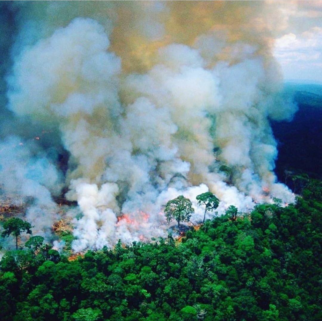 Laurenc46278958's tweet photo. Donc ça va faire maintenant 16 jours que la forêt d’#Amazonie est en feu, le poumon de la Terre, son oxygène et aucun média n’en parle!!!!🤦‍♂️😳😳 #PrayForTheAmazon
Et quand c’est la « cathédrale qui brûle » tous les médias du monde se bouscule pour en parler et diffusé https://t.co/1npHq15Z7I
