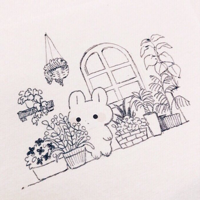 「植物」のTwitter画像/イラスト(古い順｜RT&Fav:50)｜21ページ目