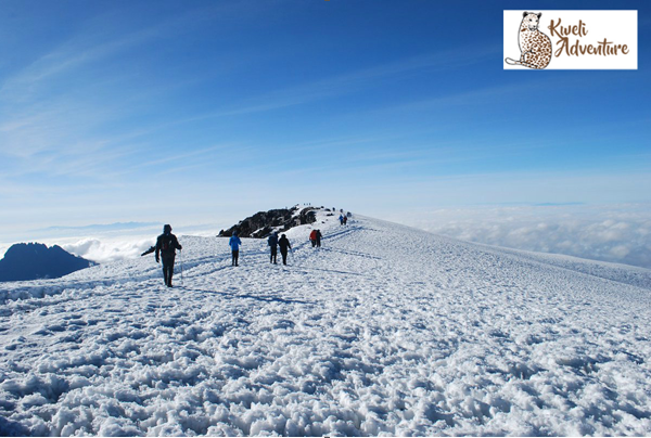 kweliadventure's tweet photo. Hiking through #Rongairoute will be more than just enthralling. 

You will be hiking throughout the six days on the mountain to reach the #Uhuru peak. 

You will just love the thrilling experience. 
To know more @ 
https://t.co/MTsN0sGZFJ. https://t.co/nfEh9etfSN