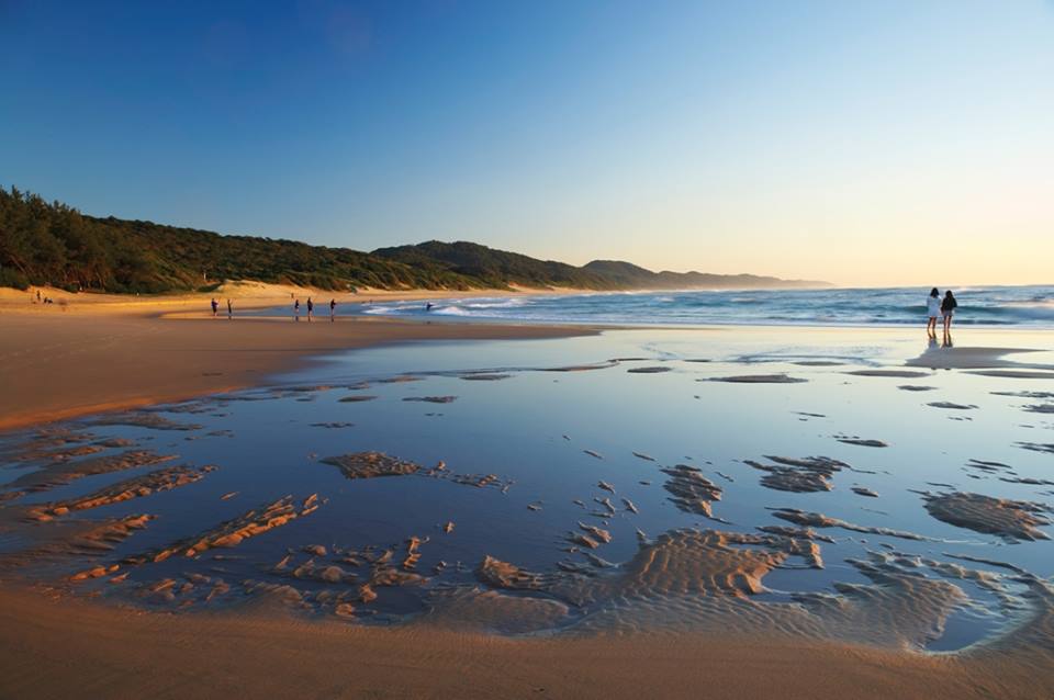 Good morning to you all from Zululand as the sun rises at Cape Vidal in iSimangaliso Wetland Park <a href="/iSimangalisoZA/">iSimangaliso</a> 

zululandnews.co.za/zululand-trave…

#Zululand #iSimangaliso #KZNTourism #DoKZN #DoTourism #ZululandTourism @StLuciaTourism
