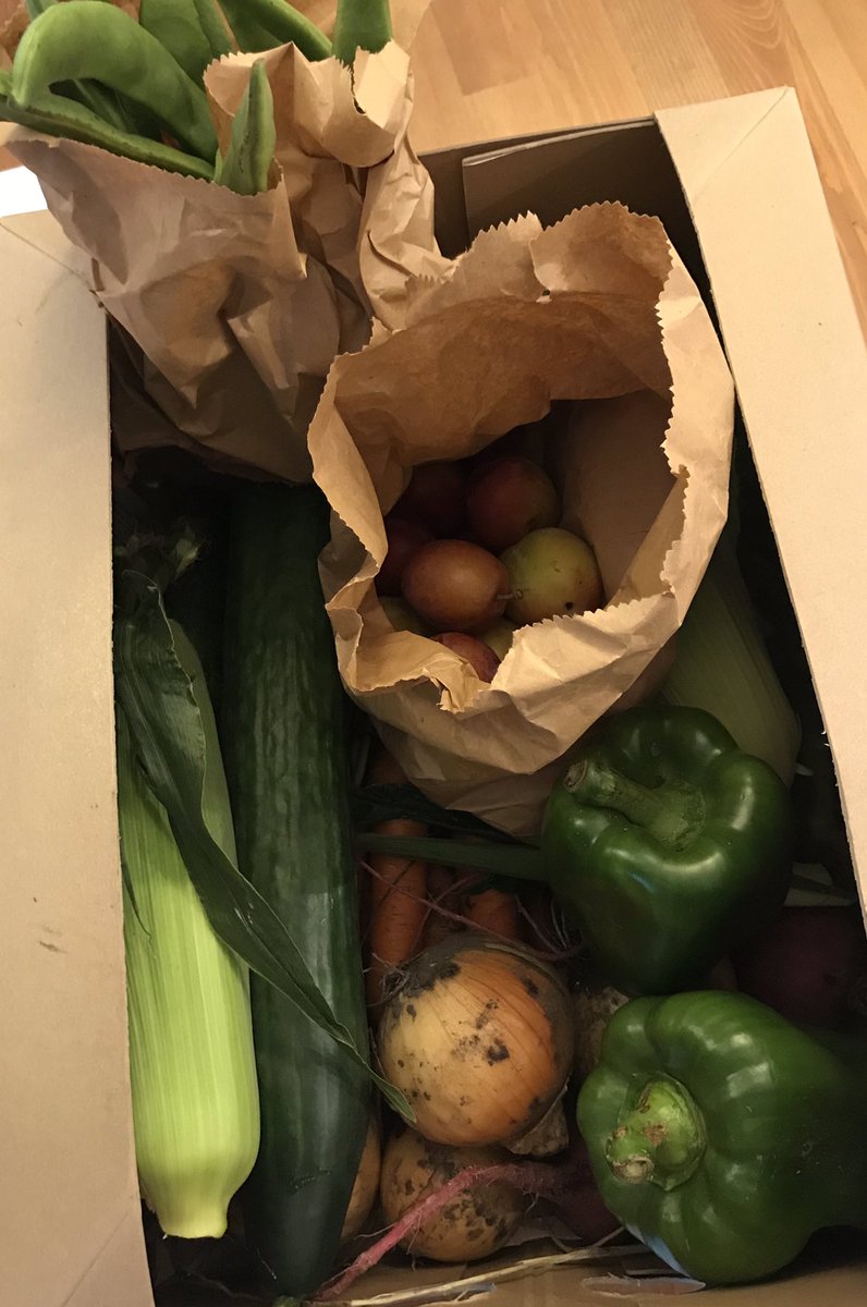 Em_Rose_R's tweet image. Thank you @Groobarbs for our first veg box delivery. Everything looks wonderful 😍🥕