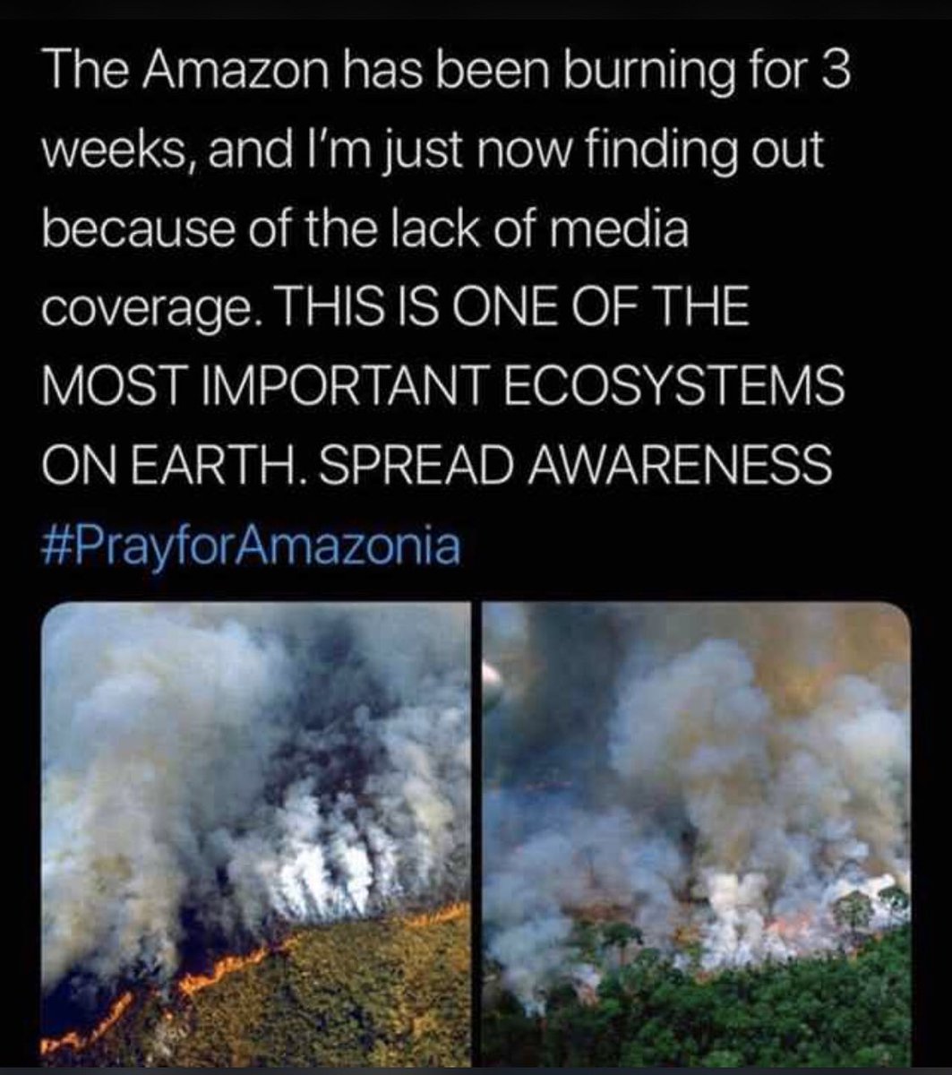 xavier_ple's tweet photo. #PrayforAmazonia https://t.co/mlUpnWWD44