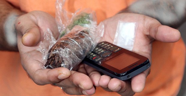 epub beyond words what animals