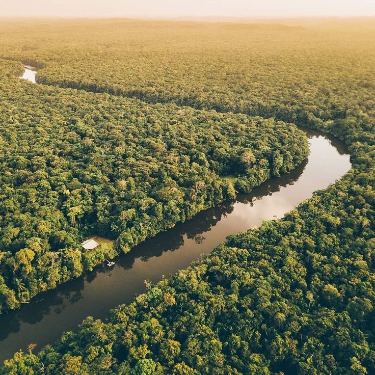 Zyad_mh's tweet photo. The "lungs of the planet" are burning for the 3rd week right now and no effective action has been made.
If we don’t want to save our own planet then we don’t deserve to live on it!
#AmazonRainforest https://t.co/Uecusce1w4