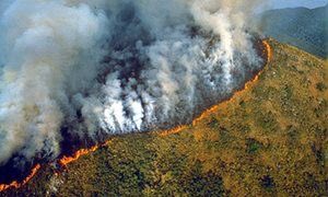 Zyad_mh's tweet photo. The "lungs of the planet" are burning for the 3rd week right now and no effective action has been made.
If we don’t want to save our own planet then we don’t deserve to live on it!
#AmazonRainforest https://t.co/Uecusce1w4