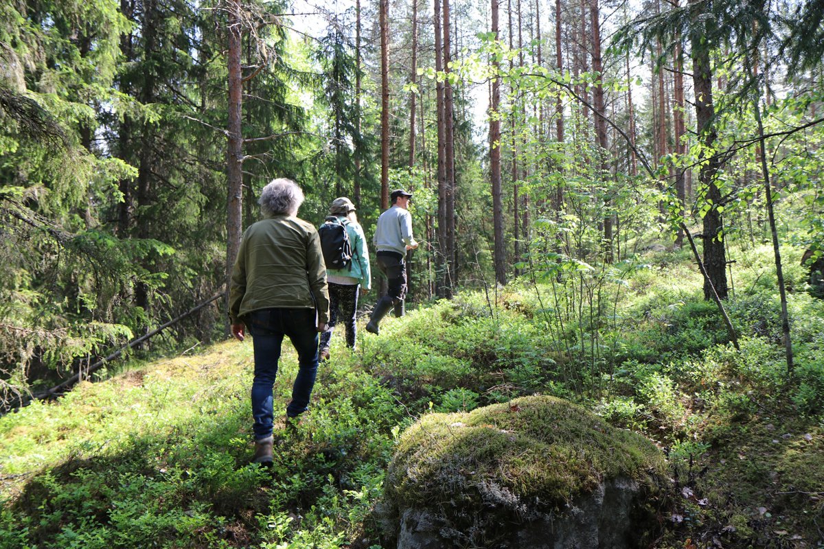 YLOkaupunki's tweet photo. Sielunmaisema, taianomainen. Näin kuvailevat läheiset Mikko Saarelan - #EppuNormaali´n perustajajäsenen - muistometsäksi kaavailtua aluetta #Ylöjärvi #Asuntila #Mastosvuori. Kaupunginhallitus käsittelee hanketta 26.8. #Luonnonperintösäätiö #muistometsä https://t.co/9laPAqogZt https://t.co/v45Cg3JQ0D