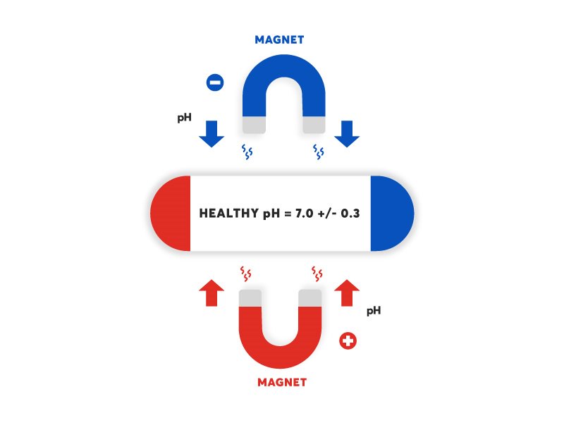 BeyondBiomag's tweet photo. Let us see how biomagnetism addresses Traumatic Brain Injury. https://t.co/yFqH1ILzOF
#LymeDiseases #biomagnetictherapy #biomagneticpairtherapy 
#magnetictherapy #biomagnetismpractitioners #medicalbiomagnetism
#biomagnetictreatments #biomagtherapy #biomagnetichealing https://t.co/BFAJUFkIM8