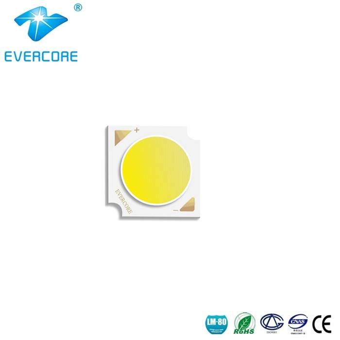 EvercoreLed's tweet image. Evercore - First try and then trust. led-cob.com/cob-led-h13 #commerciallightingcobleds #cobleddownlight #wholesalecommerciallighting