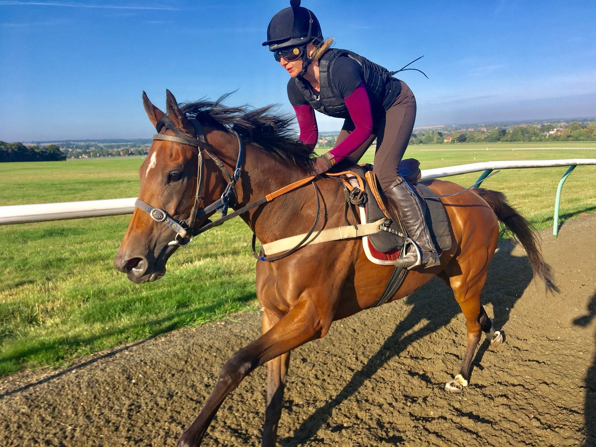 JohnWathenBerry's tweet photo. Fresh enough early on again this morning @NewmarketGallop but shaping up as another beautiful day. Forecast high 24 degrees #SacredSprite #LaParisienne #EthicsBoy https://t.co/YDh745FHSi