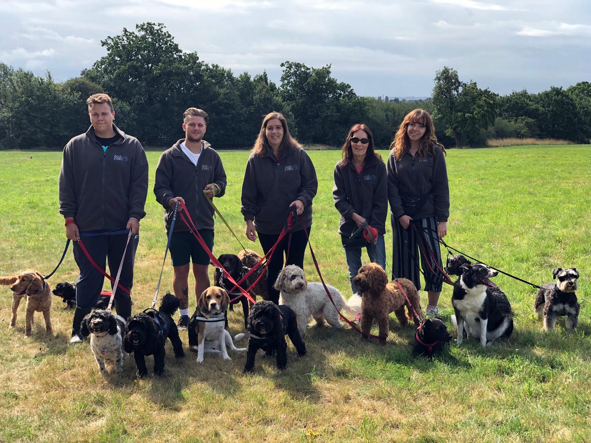 DadinPaws's tweet photo. We are having our busiest summer ever with all of our pet minder locations full as well as every single dog walking slot.  Our busiest single days were Mon 5 and Wed 7 August where we smashed all previous records for the number of dogs walked and boarded.  Thank you to our team https://t.co/o461lnmE6Q