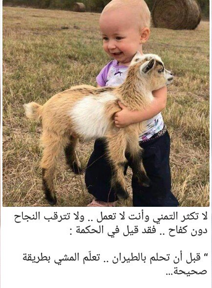 sama sama (@sama85867546) on Twitter photo 