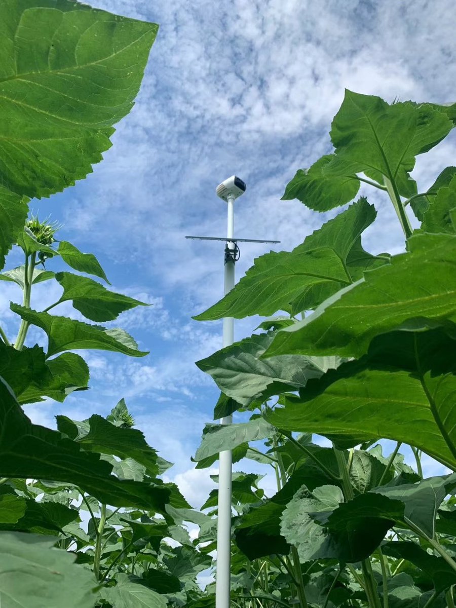 XAGAustralia's tweet photo. XAG XIoT FM1 Field Monitor can collect the data of images, temperature, humidity, air pressure and illumination, meanwhile record illumination duration every day. https://t.co/asJ7N7fdt3