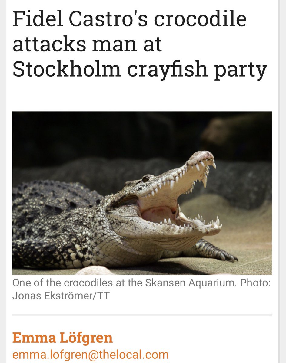 TheAlPitcher's tweet image. I know strange things happen at Crayfish Parties ... But Fyfaaan 🐊🐊 How did you lose your finger Pappa? 🦞🦞 ...Thats not a bite , thats a bite , Crocodile Bite-Me 🐊🐊 #somanyquestions #Kraftycroc #communistcrocodilenotinphoto ( story via @thelocalsweden )