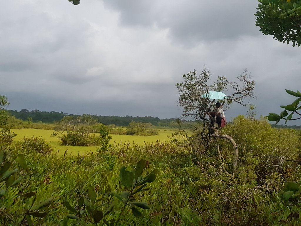 Bananas4BioAnth's tweet photo. When there's a role reversal and the monkeys come to the ground and you become the monkey 🙈 #betterview #dontloseourfocal #marypoppinsofafrica https://t.co/uhSyLWdD3b