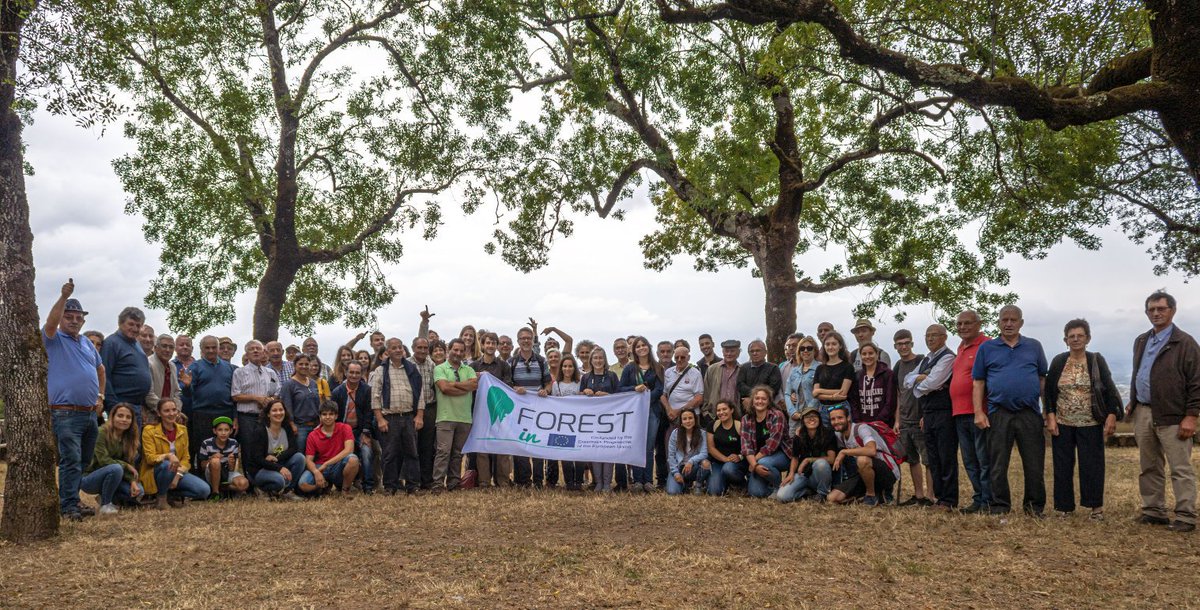 MDRsostenible's tweet photo. Más de 700 #silvicultores capacitados en FOREST-IN https://t.co/PhPIgfrpfi https://t.co/dA14P52uiw
