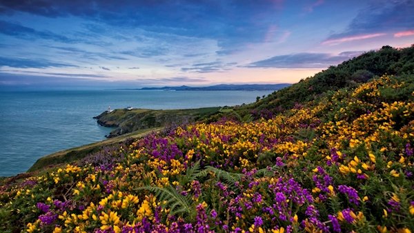 irishexaminer's tweet image. Howth trail listed as one of the world's most thrilling running routes ift.tt/2zgZoxW
