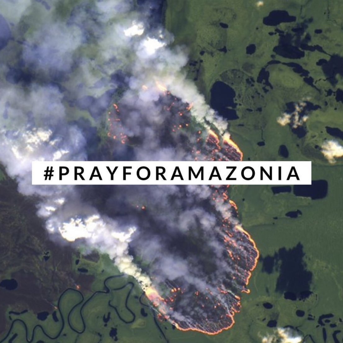 orasaoutr's tweet image. แหล่งธรรมชาติ และจุดกำเนิดสิ่งมีชีวิต #SAVEAMAZONFOREST #AmazonRainforest #Amazon