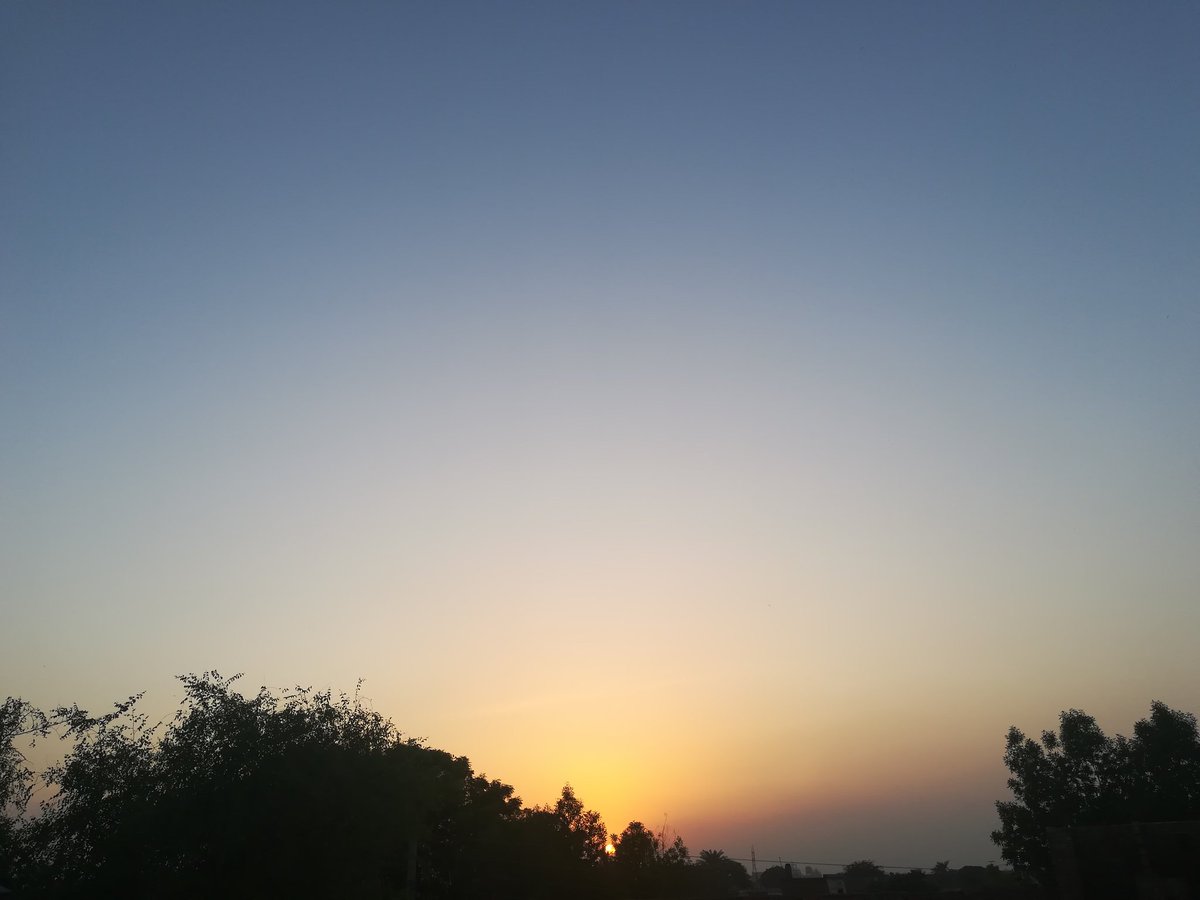 antseverafter_'s tweet photo. one day, you said, "i saw the sunset forty-four times!" and a little later you added: "you know, one loves the sunset, when one is so sad..."

"were you so sad, then?" i asked, "on the day of the forty-four sunsets?" 
but the little prince made no reply. 

— Le Petit Prince 🌇 https://t.co/eRoSvCdn0R