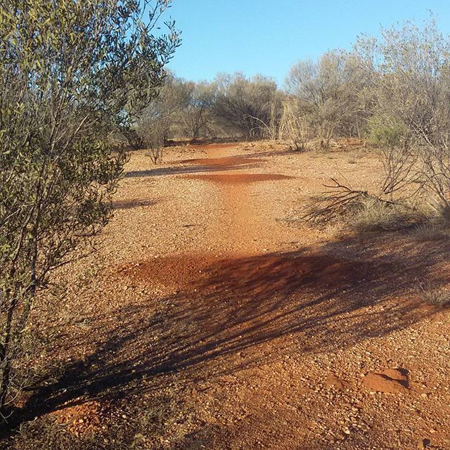 abenteuerliche's tweet photo. Kleine Wüstenwanderung zum Sonnenuntergang.

#ntaustralia #wüstenliebe #macdonnellranges https://t.co/V2qyBu3Kkl https://t.co/DWxJQRSpOG