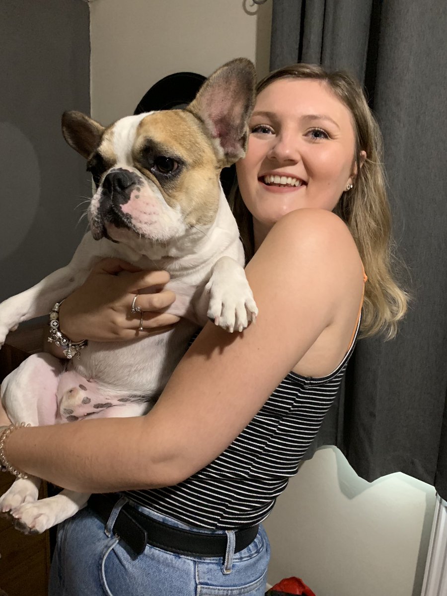 FrenchieHenry's tweet photo. #frenchbulldog #frenchie #frenchies #bulldog #dog #puppy #frenchielove #dogs #frenchiepuppy #frenchieoftheday #frenchiesociety #frenchielife #instadog #frenchbulldogs #bulldogfrances #puppylove #bulldogs #puppies #love #frenchbully #puppiesofinstagram #french #franz #bhfyp https://t.co/6pB4k21y8I
