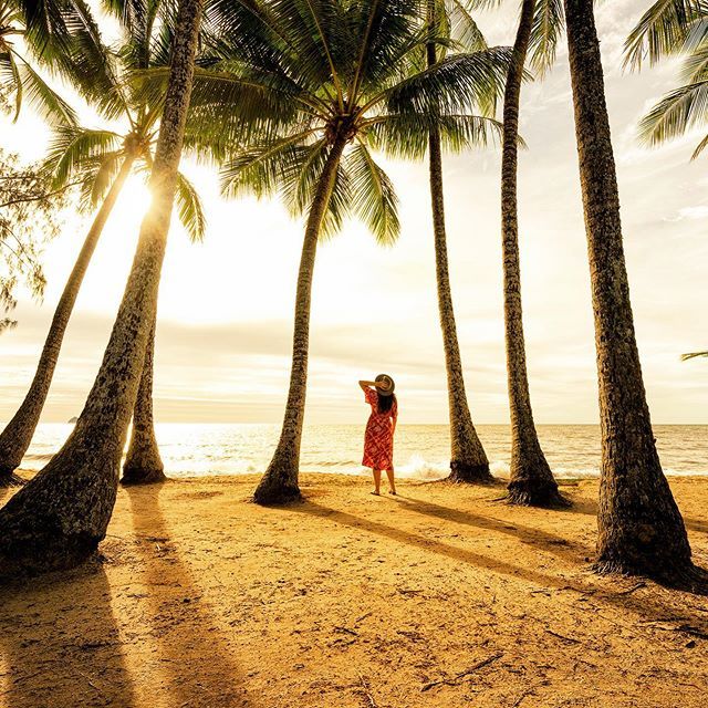 Between the palms 🌴<a href="/taylorebony/">Ebony Taylor</a>

@tropicalnorthqueensland 
<a href="/queensland/">Queensland Australia</a> 
________________________
📷 
Sony 
DJI
Manfrotto 
Lowepro 
________________________
All images available for print.
Collaborations / inquires 
simonbeedle.com 
___________… ift.tt/2ZeKBOY