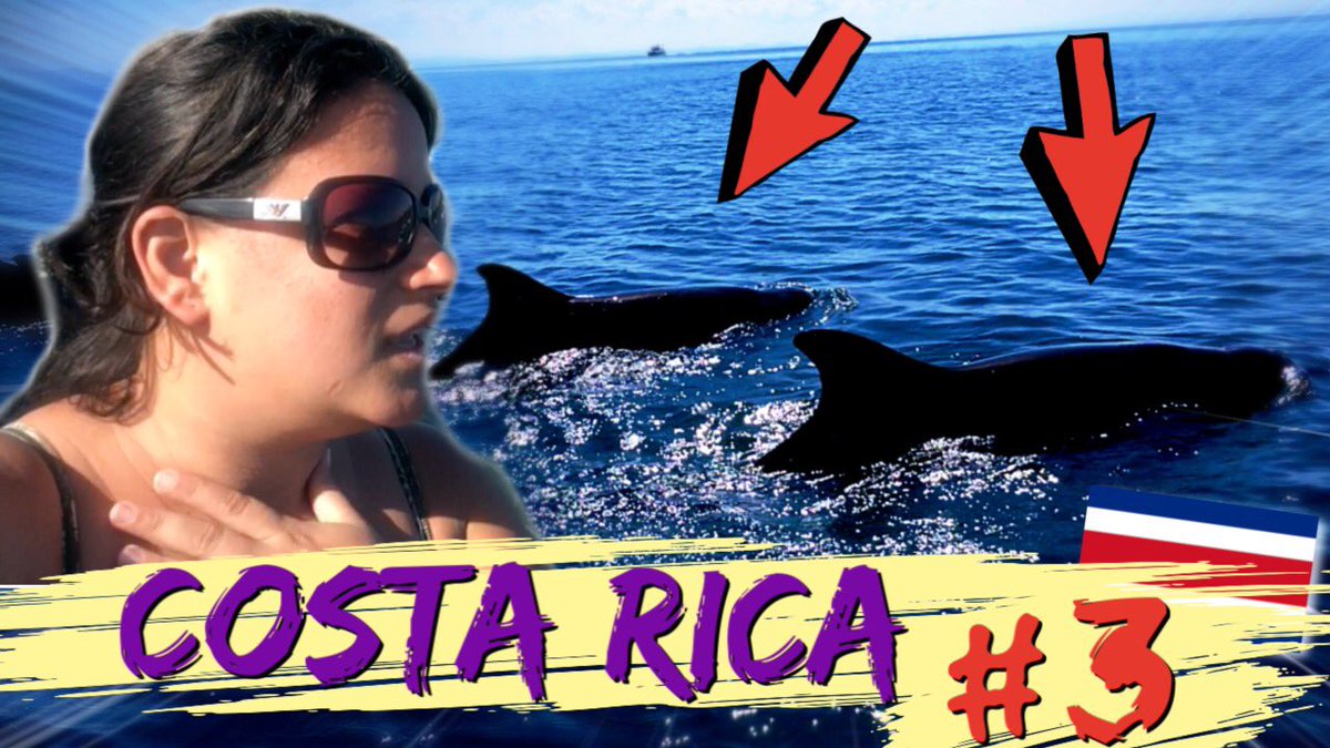 ❣️COSTA RICA - EPISODE 3 ❣️
Episode 3 is out !!

Dolphins and traditional Costa Rican song 🐬😊🎶

Link here 👇
youtu.be/4hJOKSXa8TE 

Reminder of the concept of this project: travel, meet the locals, and do some music with them 🎶✨

#musiciseverywhere #musicissharing