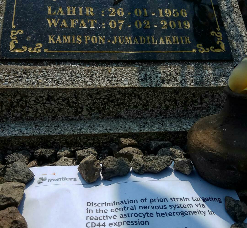jiemiardian's tweet photo. Ada teman saya, dokter, anak tukang roti keliling. Sampai sekarang ekonominya masih susah, dan dia mendapat kesempatan bebasiswa ke negeri jauh.

Dia memberikan ini ke makam ibunya, bukan bunga (karna bunga mahal). Tapi ini lebih mahal, ga bisa dibeli sama uang.

Proud of you bro https://t.co/Qmk2khIa7h