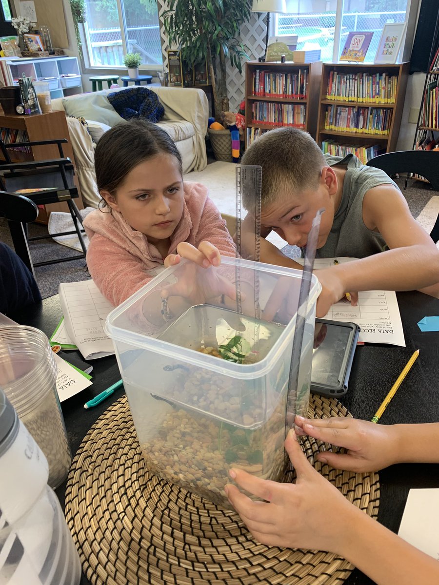 Renick_Class's tweet photo. Starting our morning off with Math and Science as we investigate our ecosystems #scienceiscool #tcecardinals #ecosystemstudy https://t.co/bd1OSCkR0T