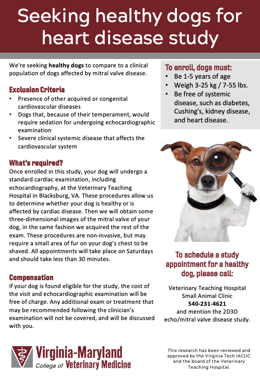 VaMdVetMed's tweet image. Attention, dog owners! We are still seeking healthy dogs to participate in a quick, non-invasive heart disease study. Can you help? 🐶
#mitralvalvedisease #veterinaryclinicaltrials #petshelpingpets #virginiatech #blacksburg #NRV