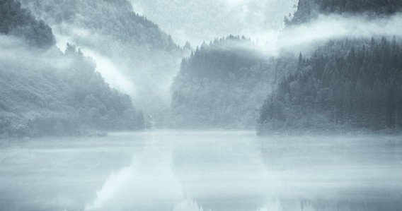 GARREAU75's tweet image. L'#écologie #profonde : le courant qui retrouve un second souffle via @Zehub sco.lt/8w73D6