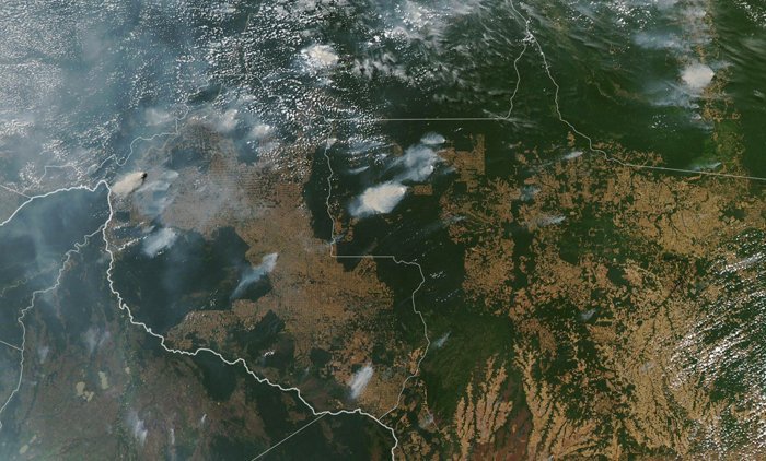 NoticiasNavarra's tweet photo. Más de 71.497 focos afectan desde hace 16 días al pulmón del planeta en la frontera entre Brasil, Bolivia y Paraguay

https://t.co/1BIUhVxzvm https://t.co/A18eNdgmN4