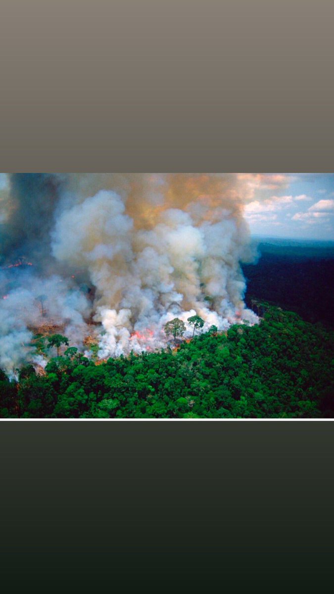 nidhiseth26's tweet photo. Just think how can we live without our lungs  #PrayForTheAmazon #PrayforAmazonas https://t.co/RvysLmBSyu
