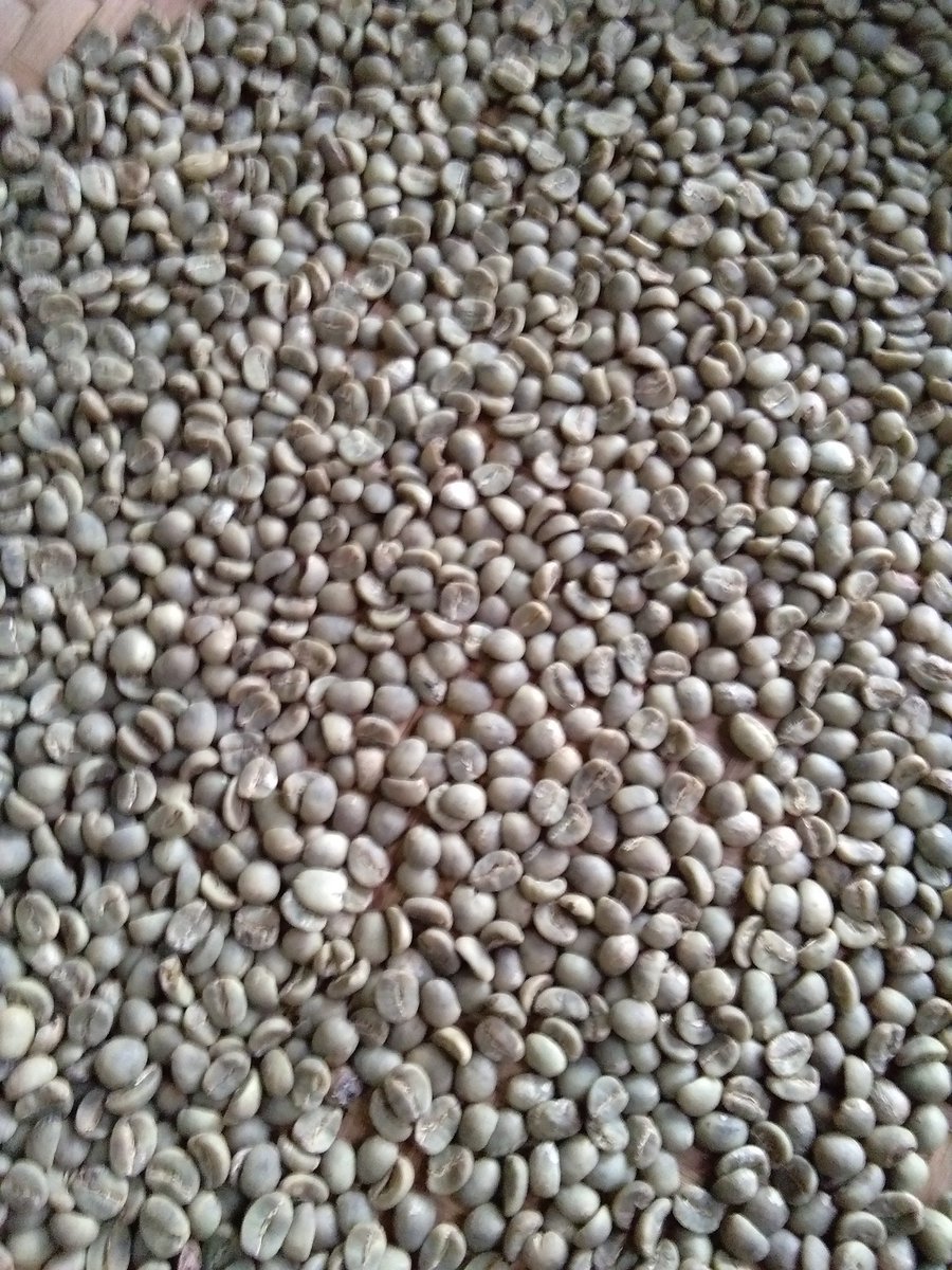 nangpawon's tweet photo. Kopi hingga cokelat #beantocup #beantobar https://t.co/jmxhhpUNpt