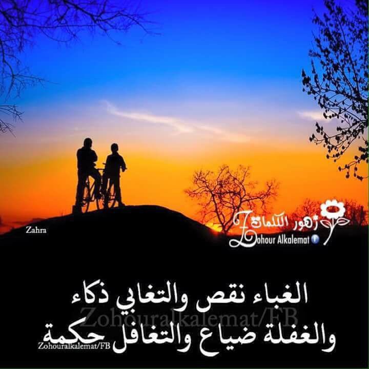 عاشق الورد (@4a038c9ccf3b4b2) on Twitter photo 