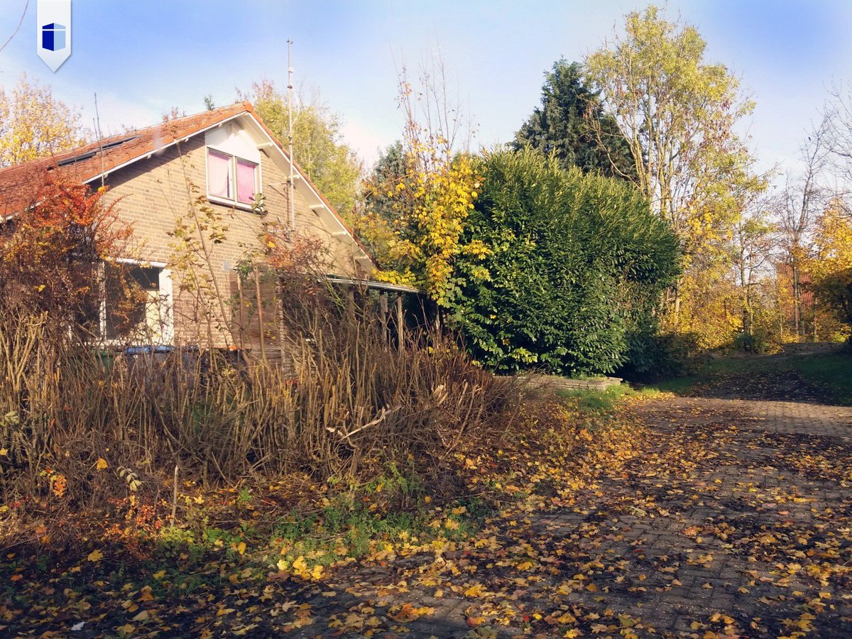 Interveste tweet media