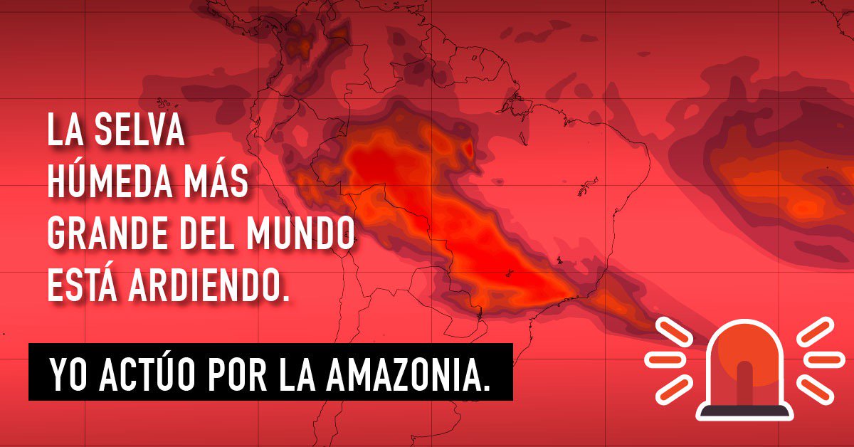 WWF España 🐼 tweet media