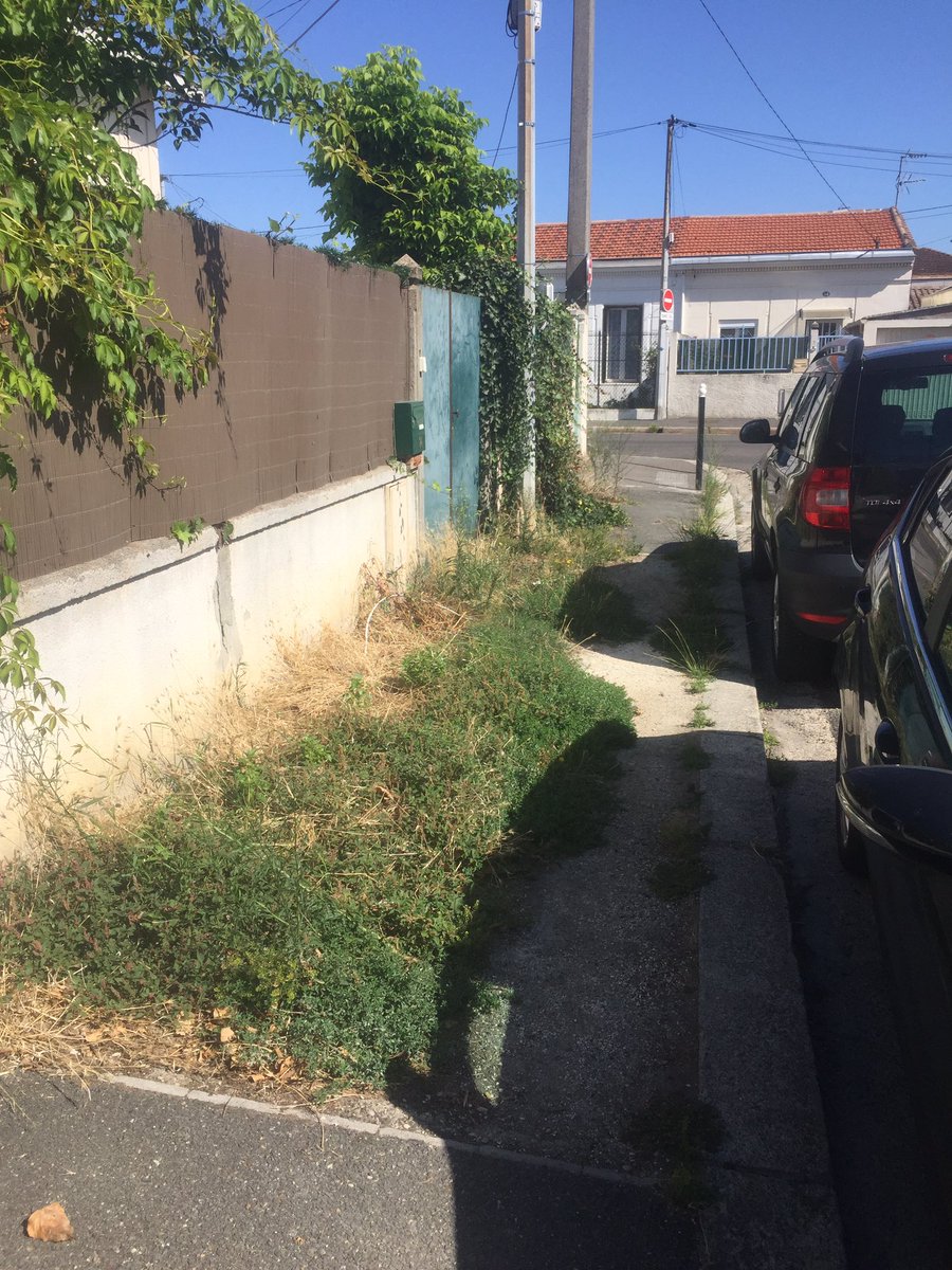 stane_33's tweet photo. @Bordeaux @BxMetro #bdx #bxmetro Pouvez vous venir entretenir le trottoir de la rue Ampère à la Bastide? Nous sommes sur le point de ne plus pouvoir passer en poussette 😣 https://t.co/u3t41HZxzD