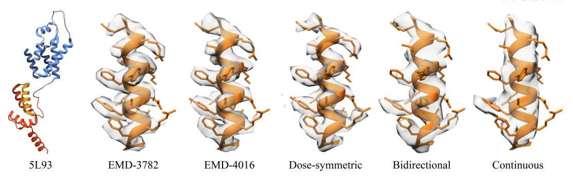 Beck_Laboratory's tweet photo. Ever wondered how to best acquire your cryo-ET data for high resolution structural analysis?
Some insights from Beata & @WimJHH in our latest pre-print!!
@embl @MPIBP
https://t.co/Dh2KpPK6al
#cryoET #subtomogramaveraging #HighResolution https://t.co/sqbBFMRWJ9