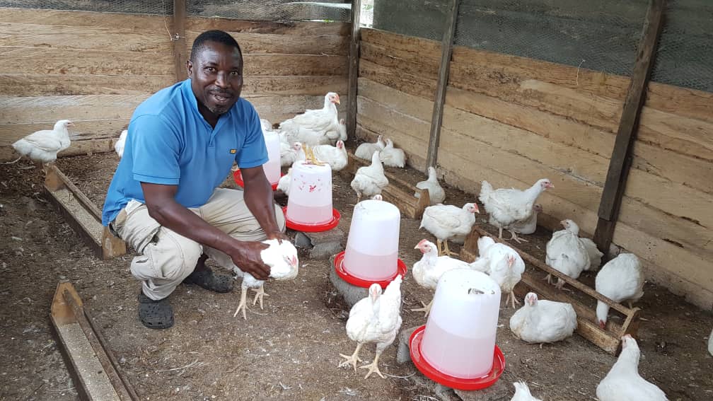 Un Cameroon On Twitter Backyard Poultry Rearing By Idps In