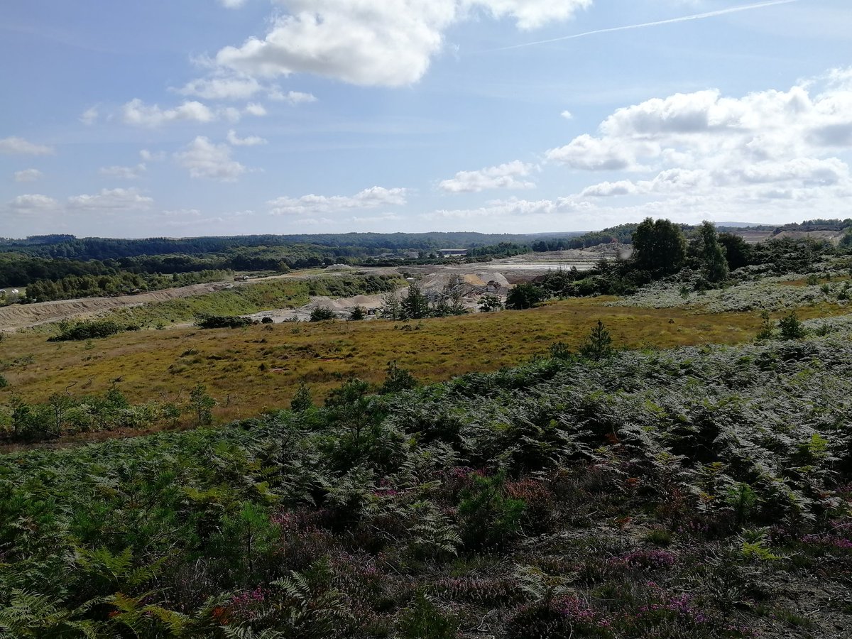 WildfireTacAd's tweet photo. Great field trip this morning with #EHW2019 delegates looking at quarry working, restoration, renewable energy and Smooth snakes (licenced handler). https://t.co/TEVdBIB2Y7