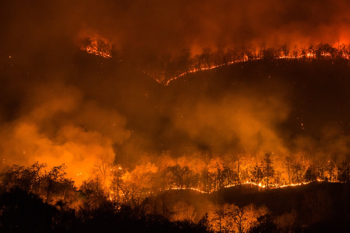 What is going on in the Amazon region is a tragedy. We feel close to all the inhabitants of the Amazon rainforest and we confirm our commitment to address environmental crimes in this area. 

Information is power: bit.ly/2Nz9VgD -&gt; bit.ly/33NkEJQ