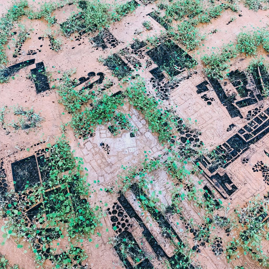 dundeeuni's tweet image. Art &amp;amp; Humanities student Alexis Bernstein has created these beautiful living maps of Dundee City and DJCAD, exploring how natural plants and urban environments can co-exist. See Alexis’ work at the Masters Show until Sun 25 Aug. uod.ac.uk/30lVbF9

#djcadmastersshow