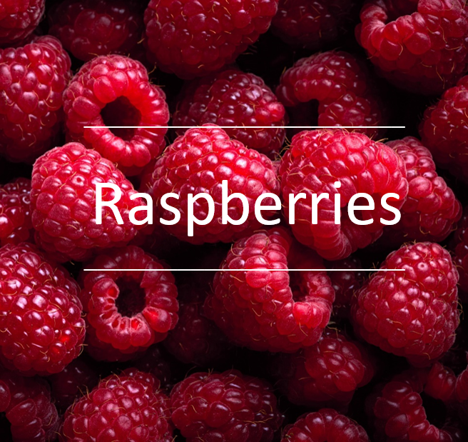 berrygardensltd's tweet photo. These supersweet British raspberries are available now in supermarkets! #greatforsnacking #healthyeating #britishraspberries #perfectforpicnics https://t.co/r3J5qSkQnU