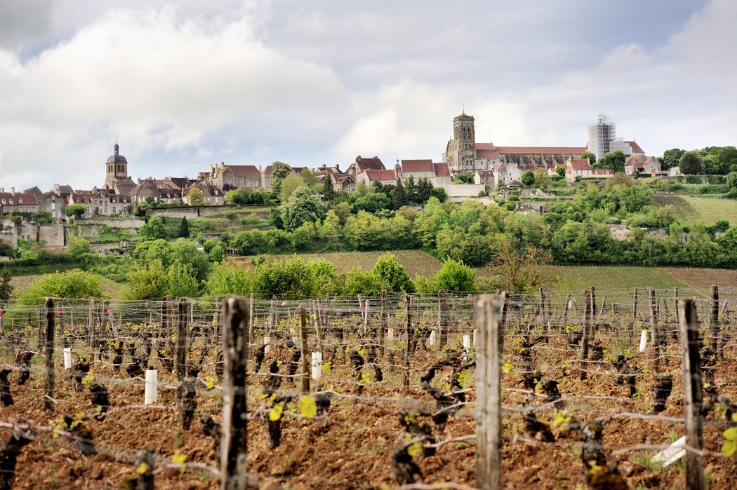 lejdc_fr's tweet photo. Des habitants de Vézelay lancent un appel pour que chaque village de l'Union européenne accueille deux migrants. https://t.co/rNAFph01YQ https://t.co/ZeLSsgklGS