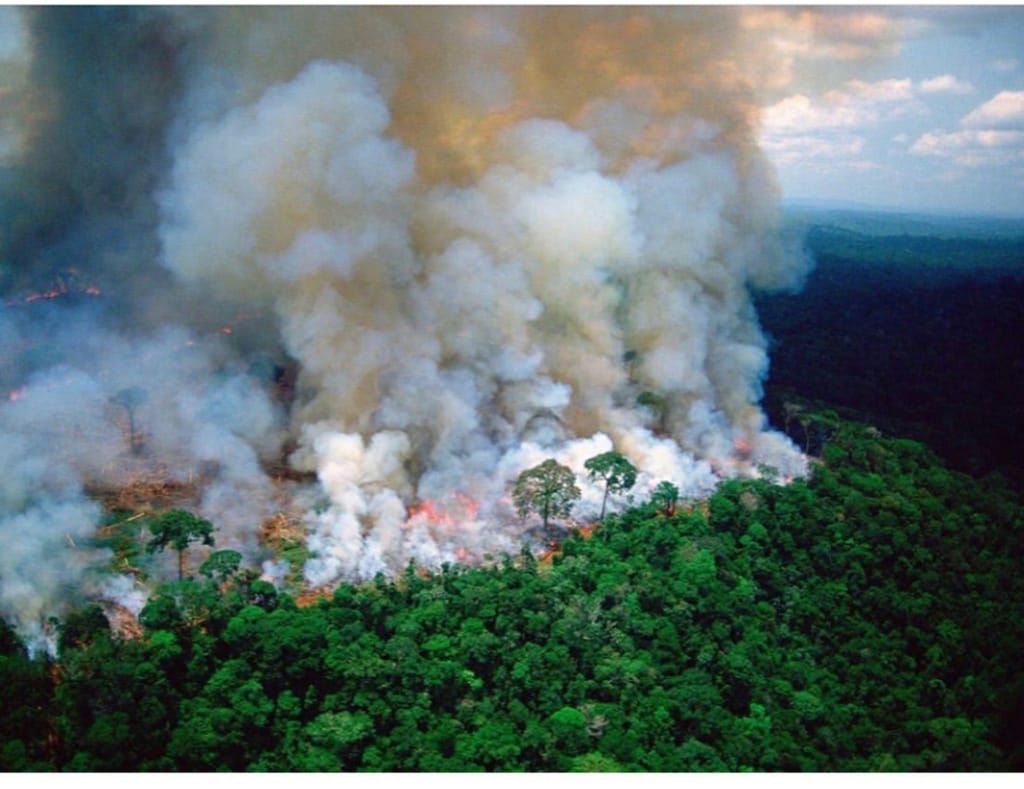sharp_denis14's tweet photo. The Amazon forest is the largest ecosystem on planet earth contributing 20% of earth's oxygen.  it's been burning for 16 days. Something should be done to conserve Amazon. It is not only Brazil role to conserve Amazon it is all of us. #standforAmazon.@MCFMakerere @MastercardFdn https://t.co/OHABcvhR3s